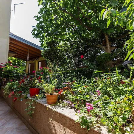 Apartman Kolundzic *